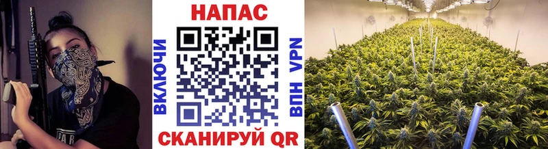 Где купить наркоту Анива Марихуана  Мефедрон  MEGA вход  Галлюциногенные грибы  КОКАИН  ГАШ  АМФ 