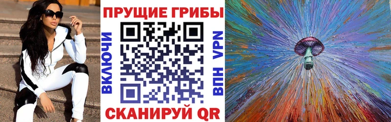 Псилоцибиновые грибы Cubensis  Анива 