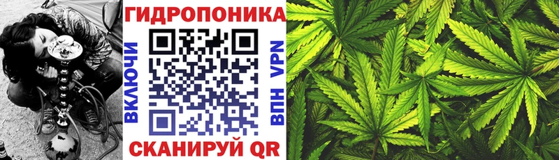 МАРИХУАНА SATIVA & INDICA мориарти официальный сайт Анива